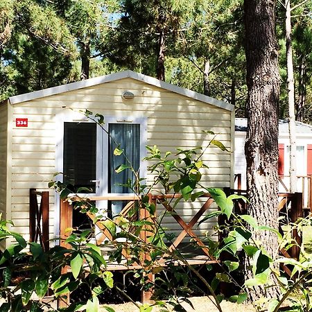 Orbitur Sitava Milfontes Bungalows - Caravan Park 오데마이라 외부 사진